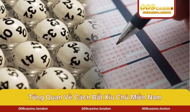 Tìm hiểu cơ bản về trò chơi này